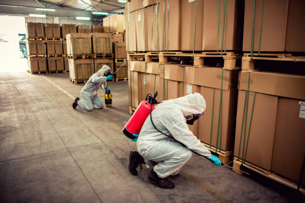 Best Mosquito Control Services  in Muskego, WI