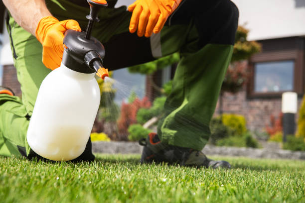 Insect Control in Muskego, WI