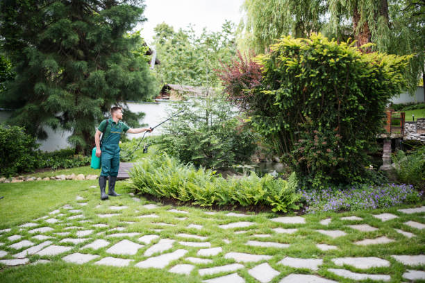 Best Best Pest Control Companies  in Muskego, WI