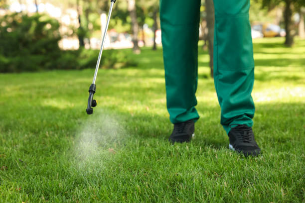 Best Insect Control  in Muskego, WI