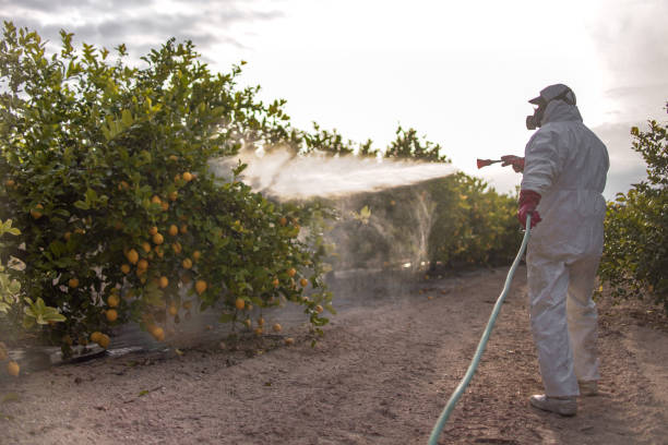 Best Best Pest Control Companies  in Muskego, WI