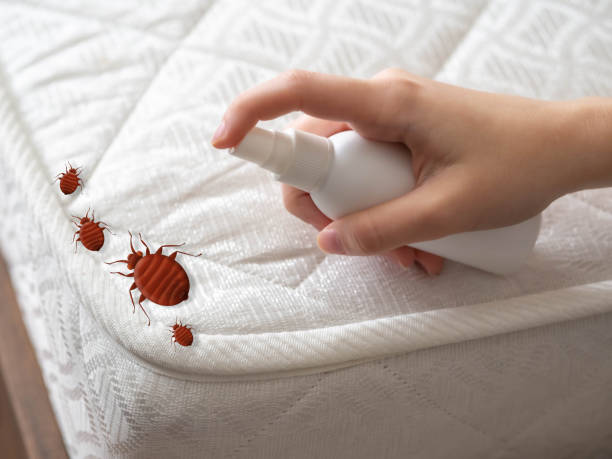 Best Affordable Pest Control Services  in Muskego, WI