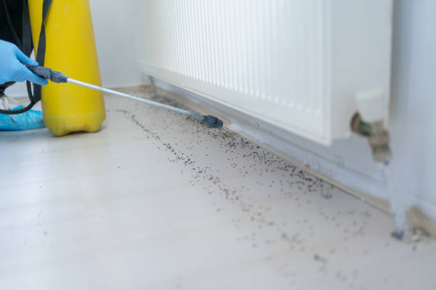 Best Rat Extermination Near Me  in Muskego, WI