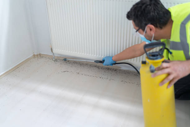Best Affordable Pest Control Services  in Muskego, WI