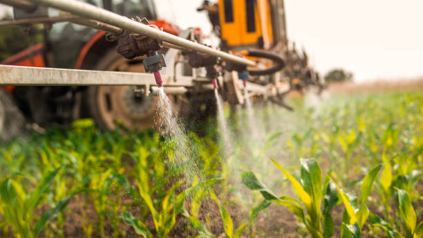 Best Best Pest Control Companies  in Muskego, WI