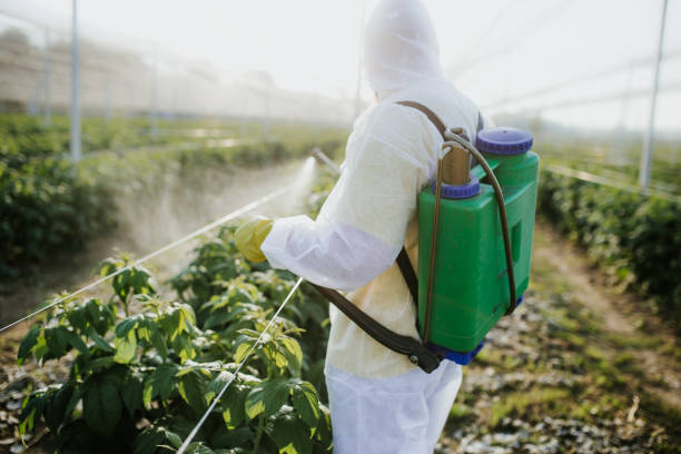 Best Flea Control Services  in Muskego, WI